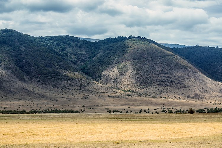 TZA ARU Ngorongoro 2016DEC26 Crater 096